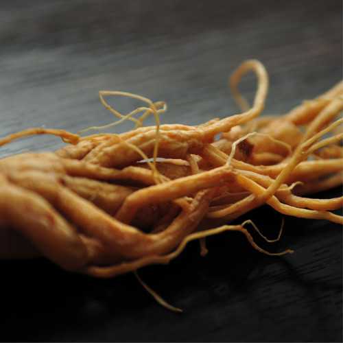 X GINSENG SELECTION BIO*-COUP DE BOOST - 60 comprimés