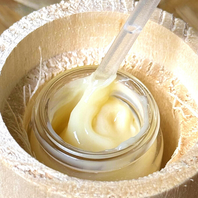 La gelée royale, aussi appelée « lait magique », est un véritable élixir de #vitalité. Sécrétée par les abeilles nourrices, elle confère à la reine une longévité exceptionnelle, jusqu’à 40 fois plus longue que celle des ouvrières. 🐝Pourquoi choisir la Gelée Royale de Fitoform ?✨ Une histoire riche : elle conserve toute sa richesse en #vitamines, #minéraux et #oligoéléments, offrant à votre organisme une revitalisation optimale.✨ Un savoir-faire d'exception : nous collaborons avec Jean-Christophe et Yann, qui récoltent notre gelée royale dans les ruches des terres froides en Isère. 🇫🇷Grâce à cette collaboration, nous garantissons une production 100 % française, respectueuse des #abeilles et de leur #environnement. ❤️🌱Notre Gelée Royale est à son état le plus pur en vous offrant tous ses bienfaits, car elle est :💛Non congelée💛Non transforméeAlors, prêts à affronter en pleine santé les mois d’hiver qui nous attendent?👉 Pour en savoir plus sur la GELÉE ROYALE - TERRES FROIDES - FRANÇAISE & BIO* : lien dans la bio 🤗•••#fitoform #complementalimentaire #complementalimentairebio #bio #bienetre #sante #corpssain #tonic #formulenaturelle #prendresoindesoi #mieuxvivre #GeléeRoyale #Vitalité #MadeInFrance